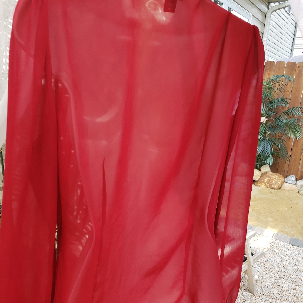 Sheer shirt - Picture 4 of 4